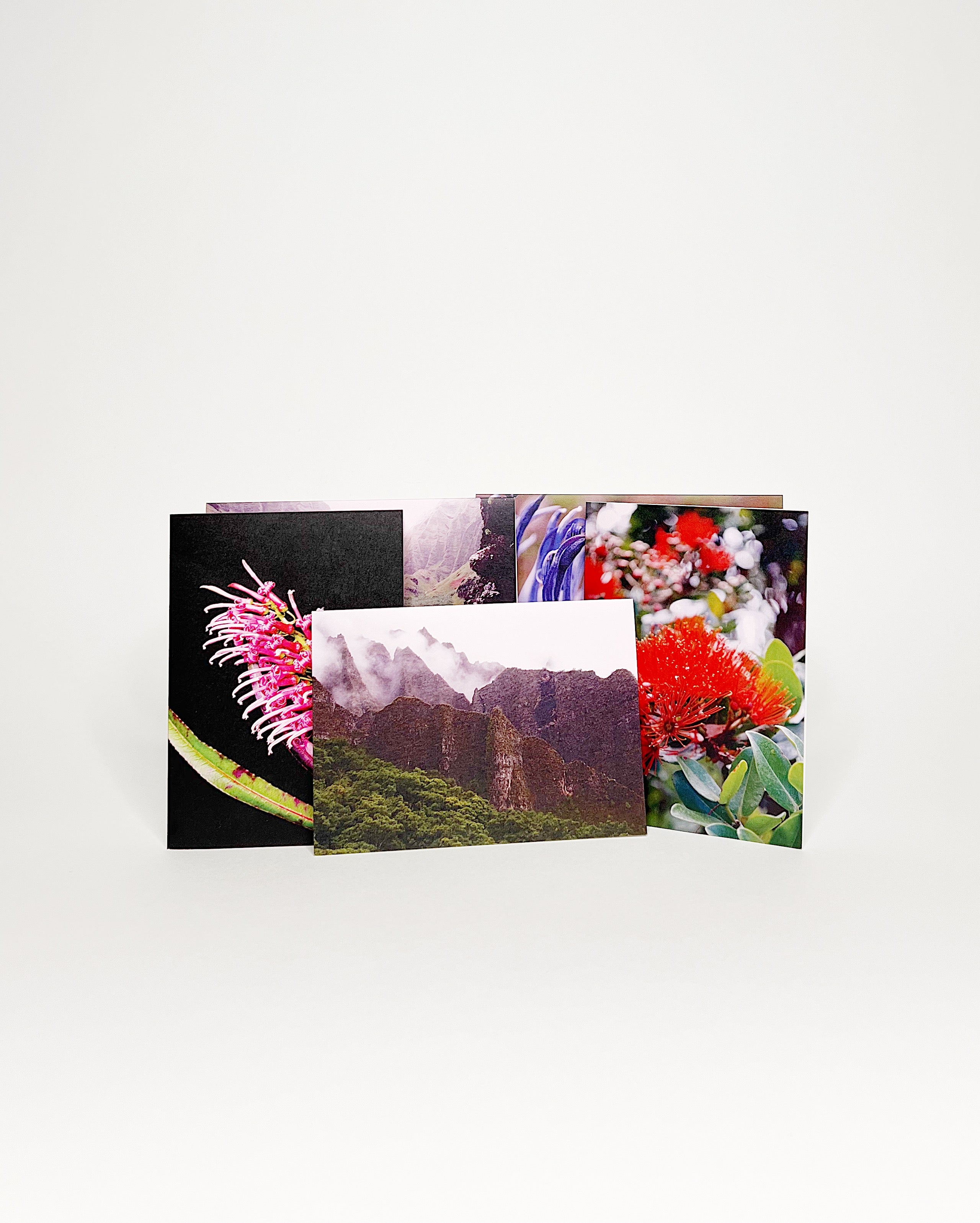 Set of photographic greeting cards featuring native Hawaiian flora and landscapes, including vibrant ʻōhiʻa lehua blossoms and mist-covered cliffs of the Nā Pali Coast on Kauaʻi. White background
