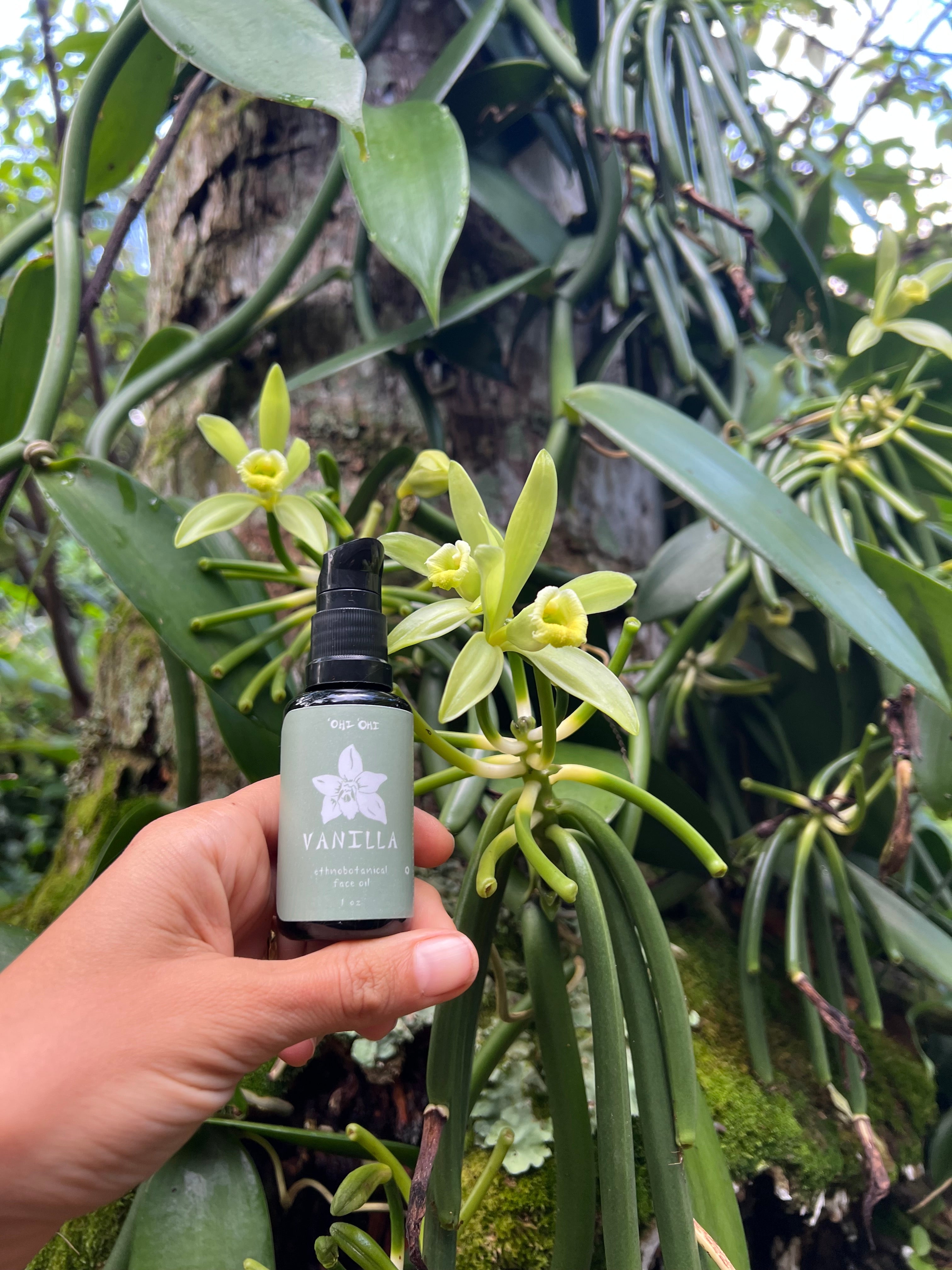 Hand holding a bottle of ʻOhi ʻOhi Vanilla ethnobotanical face oil in front of blooming vanilla orchid flowers and green vines growing on a tree in Kaua‘i.