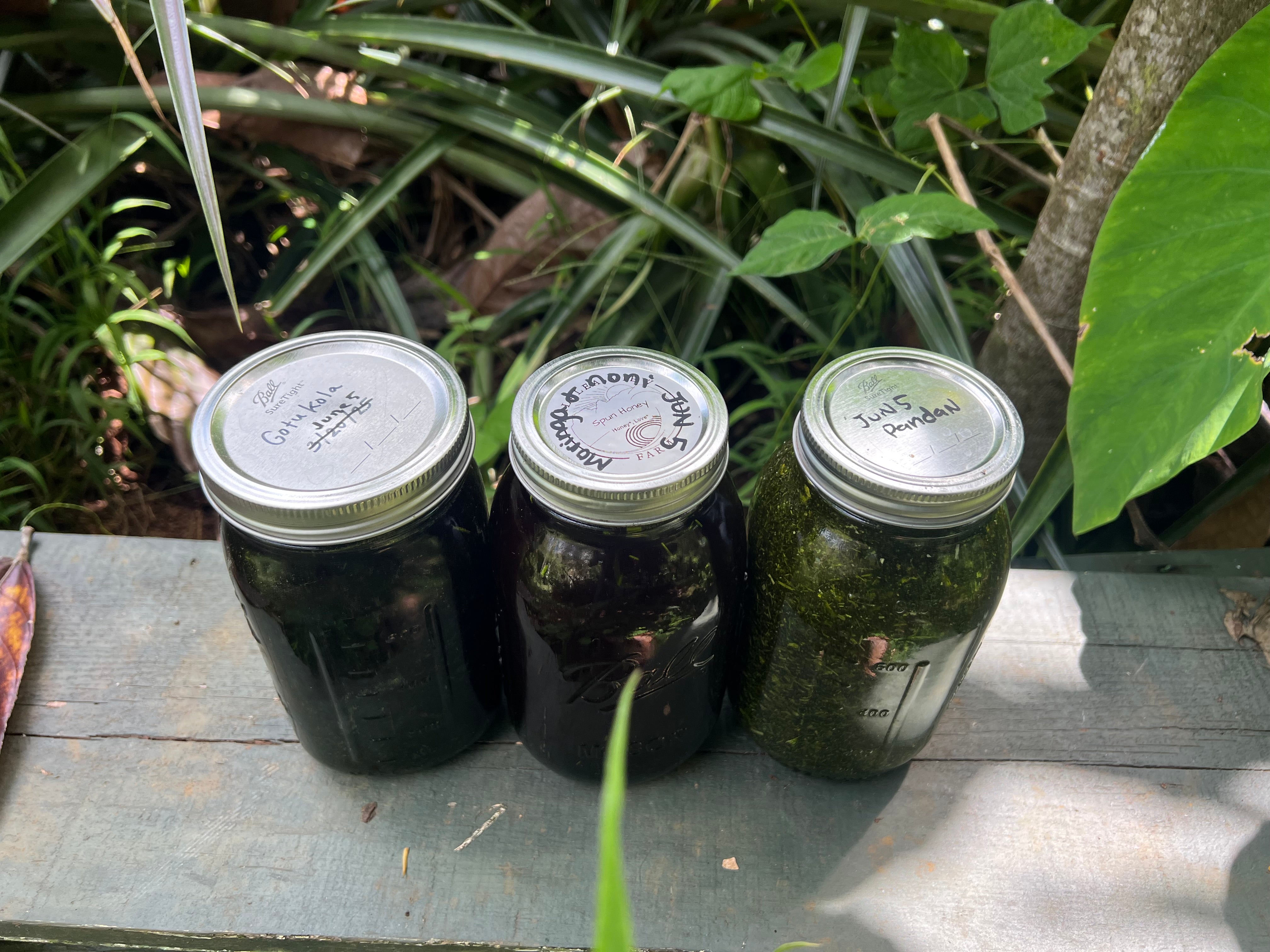 homemade small batch oils