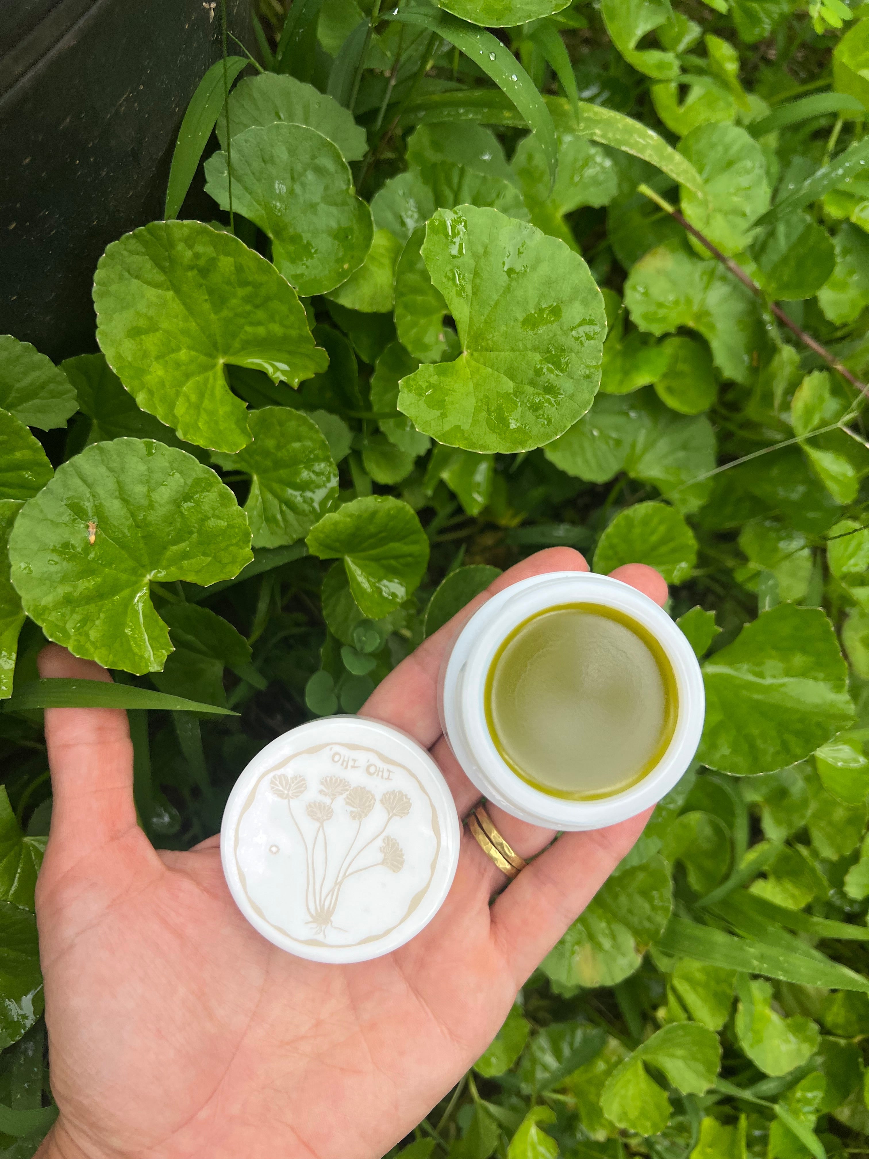 hand holding 'ohi 'ohi gotu kola balm in a kauai garden