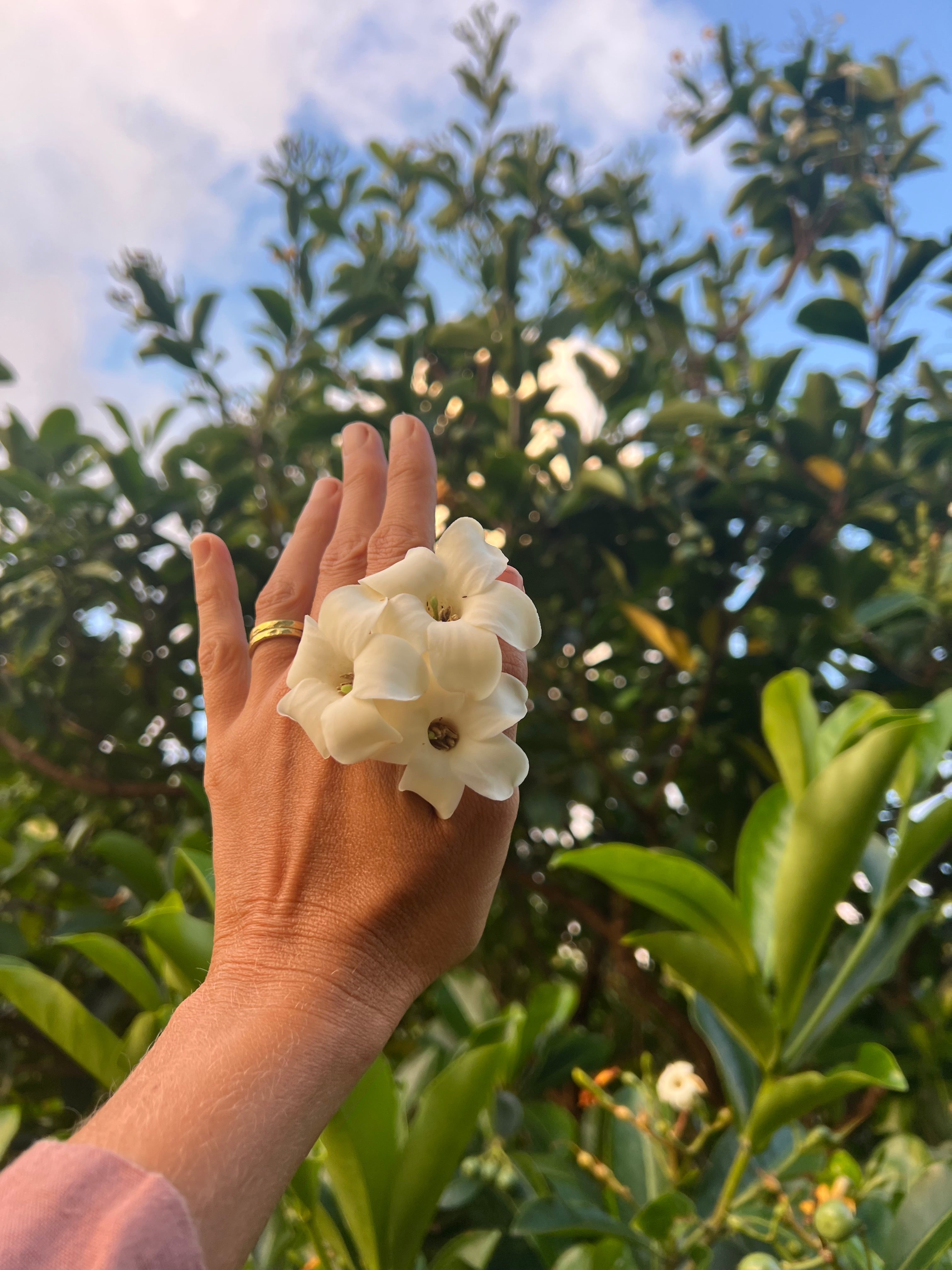 A hand with two gold rings holds up a cluster of white pua kenikeni flowers, worn like a ring on the fingers. The background features lush green foliage and a bright blue sky with light clouds, capturing a tropical garden setting in warm natural light.